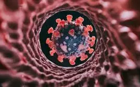 Cicada: 3 Signals the New COVID-19 Variant Is Spreading Without Driving Severe Disease—Yet