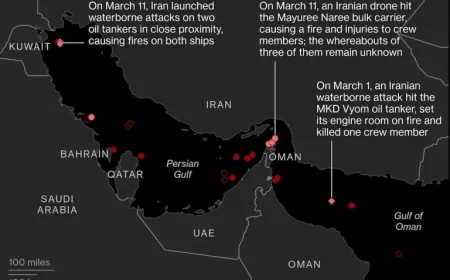 Oil Prices Drop Amid Volatile Trading Before Trump’s Iran War Speech