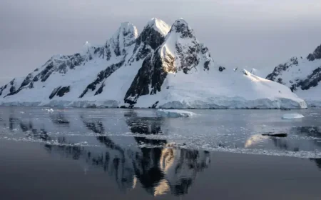 Antarctica: EU krill market on the turn as producers and retailers withdraw — first manufacturer quits