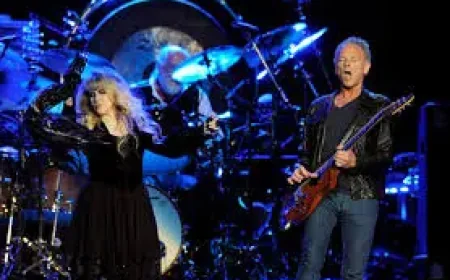 Lindsey Buckingham attacked by alleged stalker