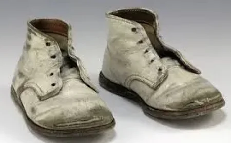 Vietnam War memories surface in two live gatherings, from UH Mānoa to the National Mall