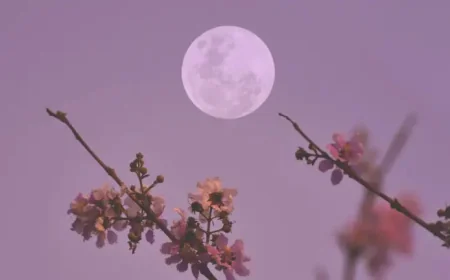 April Full Moon 2026: How a Moment in the Sky Shapes Two Easters and Daily Life