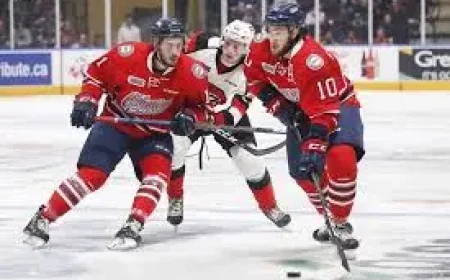 London Knights Score: Oshawa Generals Win No. 1 Pick in 2026 OHL Draft Lottery