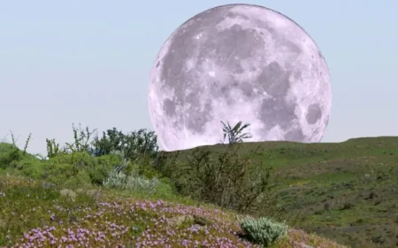 Is It A Full Moon Tonight? 3 Revelations About April’s Pink Moon Peak
