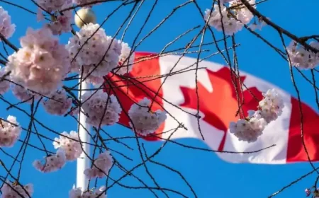 Canada Immigration Changes: 30-Day Passport Guarantee and Eight April Reforms Shift Service Standards