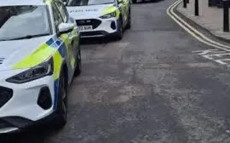 Margate Spotlight: Margo McDaid Launch and Canterbury Exhibit Point to a Local Cultural Pulse