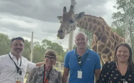 Sydney Zoo Names Sandbox Media in Competitive Win — A Dual Play for Family Audiences and Marketing Muscle