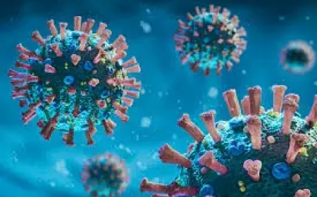 Cicada Covid Variant Ba 3.2 and Older Americans: What Public Health Officials Are Watching