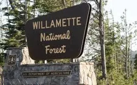 Us Forest Service shakeup: uncertainty grows after Michigan and Pennsylvania facility closure headlines