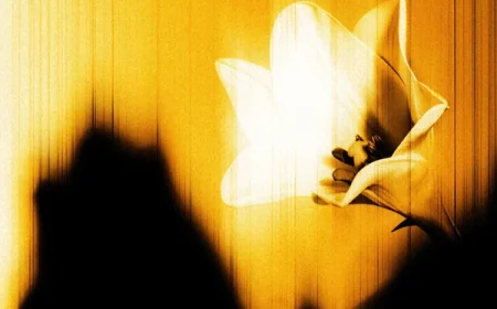 U2 Releases New Track ‘Easter Lily’