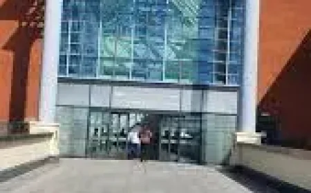 Meadowhall: ‘Like being pregnant and then evicted’ — Nest removal and retail blow expose local unease