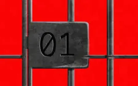 Github Takedowns and 500,000 Lines: Twin Incidents Shake the AI Industry