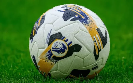 Scottish Professional Football League shake-up: Stirling boss Maybury placed on gardening leave after crucial win