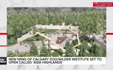 Calgary Zoo: New ‘Asia Highlands’ wing set to open as an inflection point