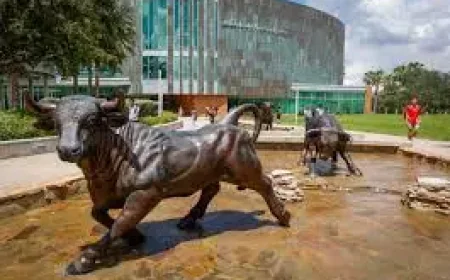 Usf Bomb Threat: Uncertainty Spreads Near the University of South Florida’s Tampa Campus