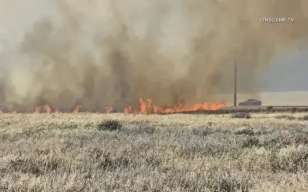 Moreno Valley Fire: Wind-Driven Springs Fire Scorches 50 Acres and Triggers Evacuation Requests