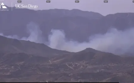 Acton Fire: Crown Fire Brush Blaze Breaks Out, Evacuation Order Issued