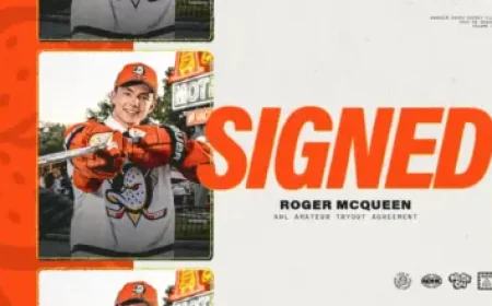 Wrigley Field’s Wind, a Hot Hitter and a Stadium That Feels Like Two Parks