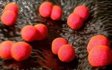 Meningococcal Disease Has Been Increasing in Manitoba, Public Health Warns