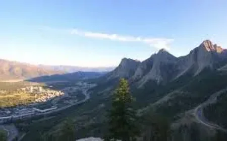 Uzbekistan and Kazakhstan Elevate Farming Ties: 5 Priorities Emerging from Joint Agricultural Talks