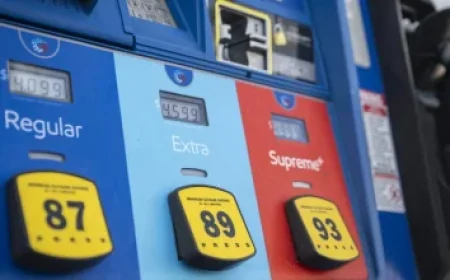 AI-Proof Careers: Psychology and Education Degrees Yield Negative Returns