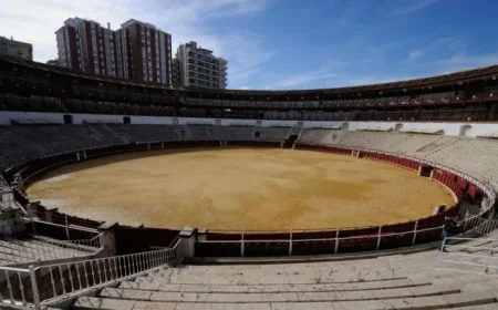 Retired Matador Fatally Gored by Bull in Southern Spain