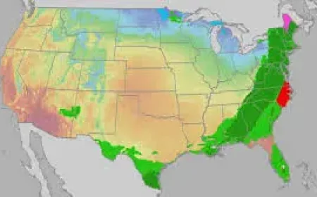 Easter Sunday Weather Outlook: Rounds of rain and storms to usher in cooler temps