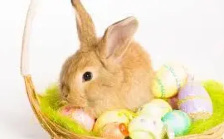 Ouvert Ou Fermé Lundi De Pâques: a practical map of what changes, and what stays open