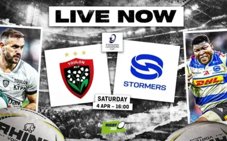 Toulon Vs Stormers: 3 selection calls that could shape a Champions Cup response