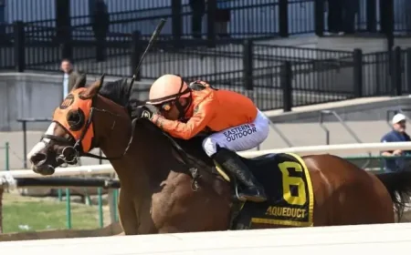 Aqueduct Racetrack: Yo Daddy’s Listed Excelsior breakthrough and 5-race surge