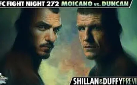 Alice Pereira and the quiet growth behind UFC Vegas 115’s prelim spotlight