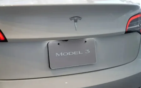 Tesla Model 3 Fire Deaths Alleged in 5 Disturbing Details After 2024 Crash