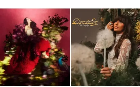 Jonah Hill Returns With Outcome as Streaming Picks Bring a Fresh Week of Choices