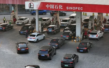 China Leads in Renewable Energy, Ready for Global Fuel Crisis