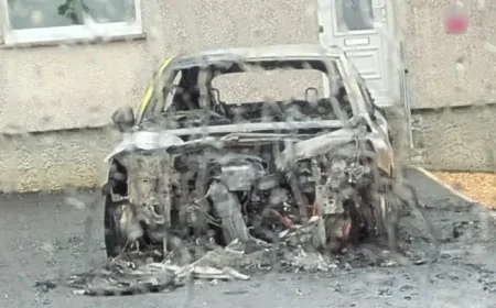 Firebombing probe after car destroyed outside Scots home in Carluke