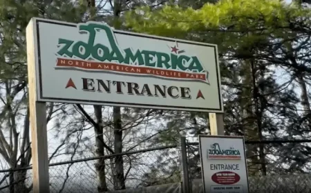 Zooamerica and a Toddler’s Brief, Frightening Encounter at a Wolf Habitat