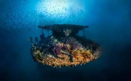 Shipwreck Found at 8,200 Feet: Why France’s Deepest 16th-Century Discovery Matters