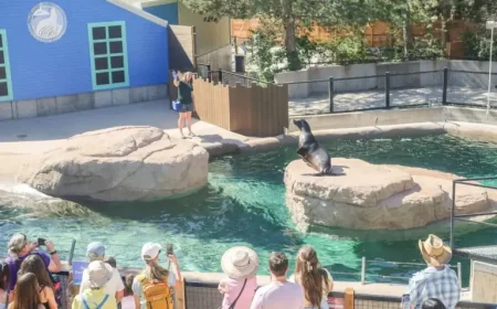 Denver Zoo Lawsuit Exposes Hidden Costs Behind a $19 Million Sea Lion Exhibit