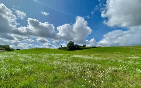 Bordeaux weather outlook: 5 things shaping Sunday, April 5