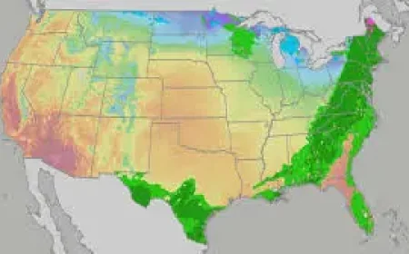 Resurrection Sunday Forecast: Rainy East, Warm West as a Weekend Shift Unfolds