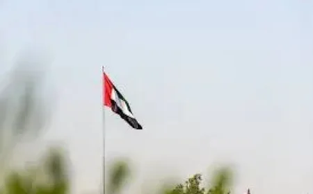 United Arab Emirates: 7 Nepalis Injured in West Asia Conflict Are Out of Danger