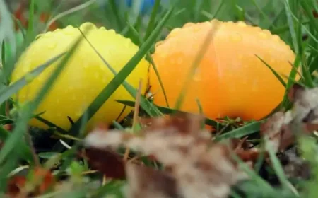 Washington Dc Weather: 87 Degrees Saturday Before Rain Threatens Easter Sunday Plans