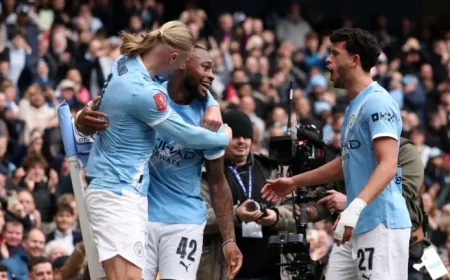 Fa Cup Semi Final Draw: Wembley tension and the road to the last four