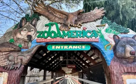 Zoo Near Me: Toddler Injury at Zoo America Raises 3 Safety Questions