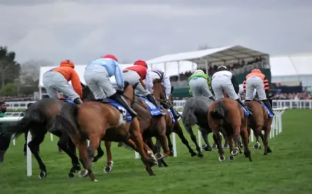 Bet365 referral code ROTOWIRE offers up to $500 in bonus bets