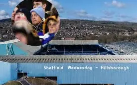 Swfc: 3 signals Henrik Pedersen and David Storch are shaping next season