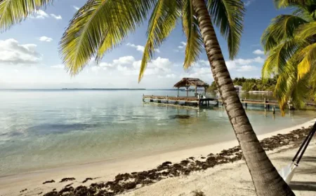 Belize travelers warned as mosquito-borne illnesses rise