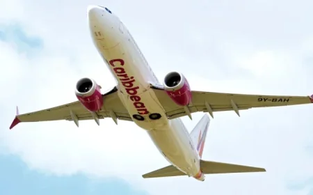 Passenger Delivers Baby Mid-Air on Flight to New York