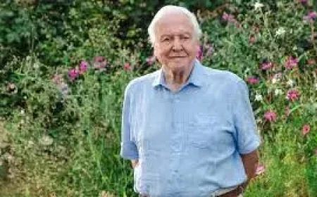 Tv Tonight: David Attenborough’s Secret Garden Is a 100th-Birthday Surprise