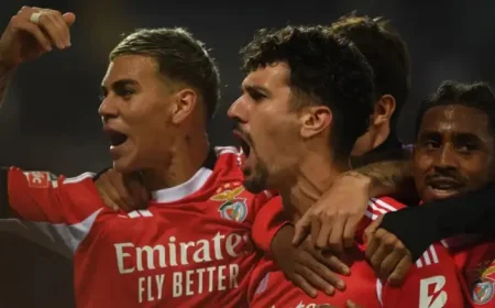 Casa Pia Vs Benfica: Benfica loses Tomás Araújo for Rio Maior trip